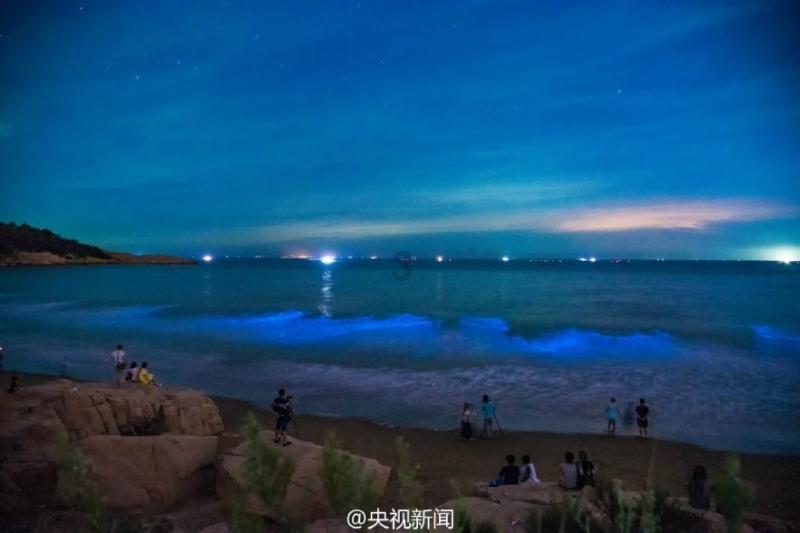 春节将至，这些年货你囤了吗？